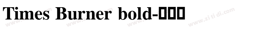 Times Burner bold字体转换
